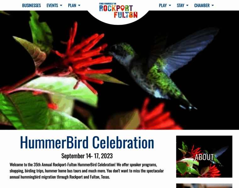 Rockporthummingbird.com thumbnail