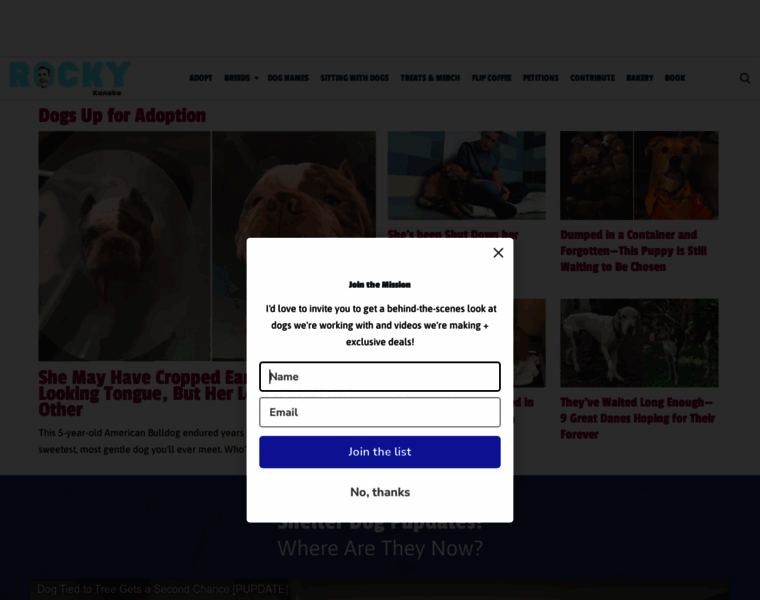 Rockykanaka.com thumbnail