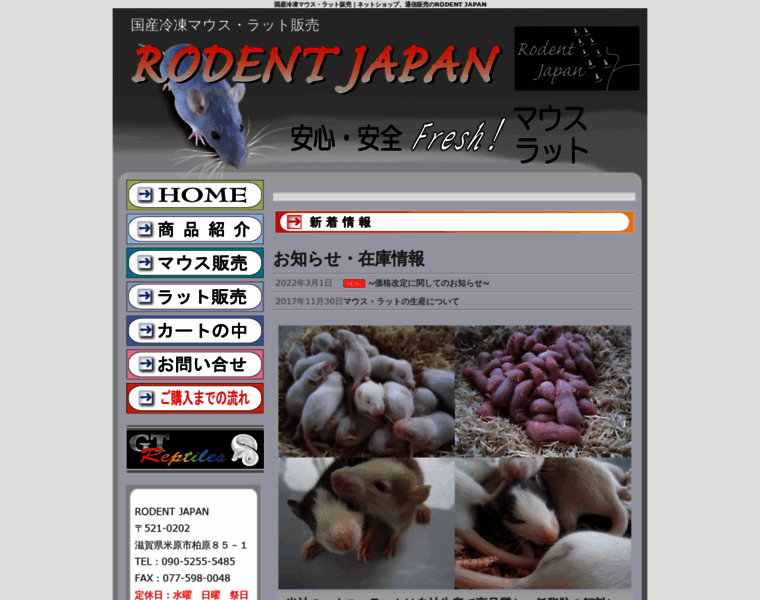 Rodentjapan.com thumbnail