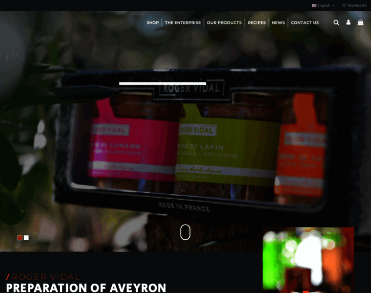 Roger-vidal.fr thumbnail