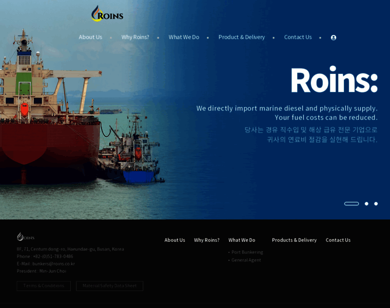 Roins.co.kr thumbnail Roins.co.kr thumbnail