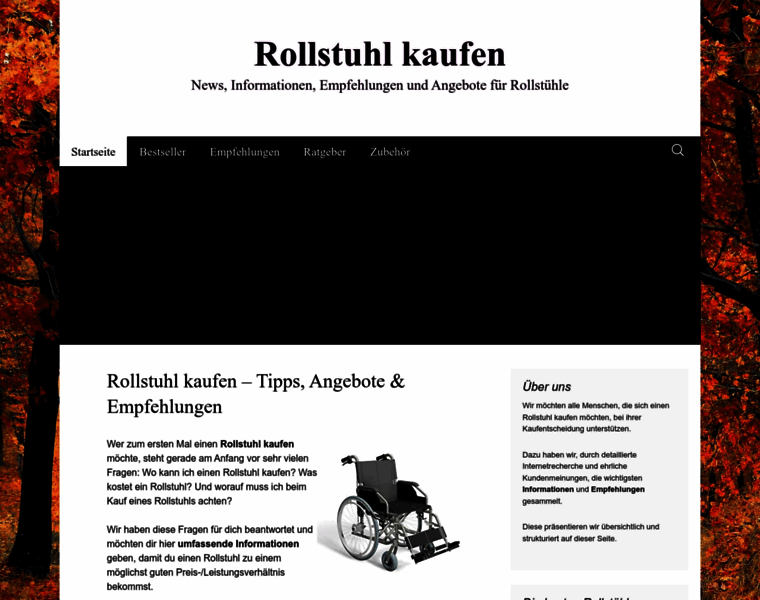 Rollstuhlkaufen.info thumbnail
