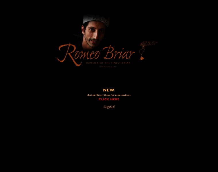 Romeobriar.com thumbnail