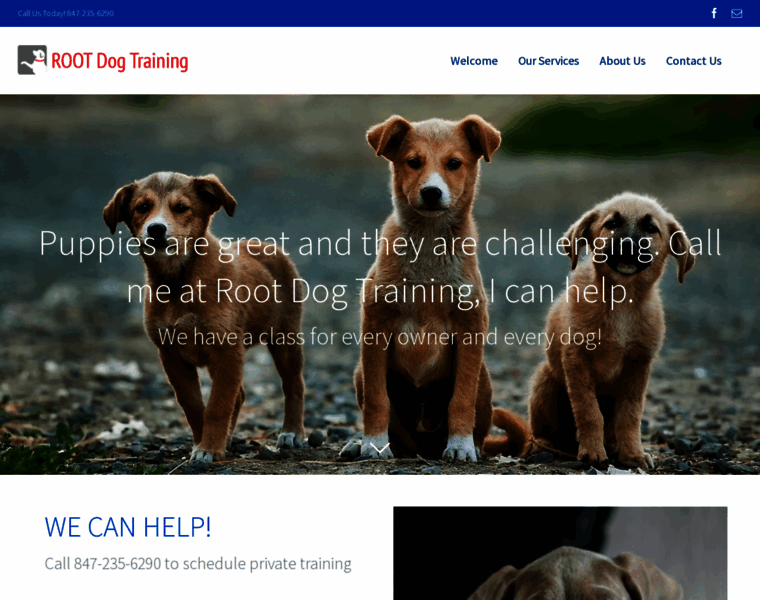 Rootdogtraining.com thumbnail