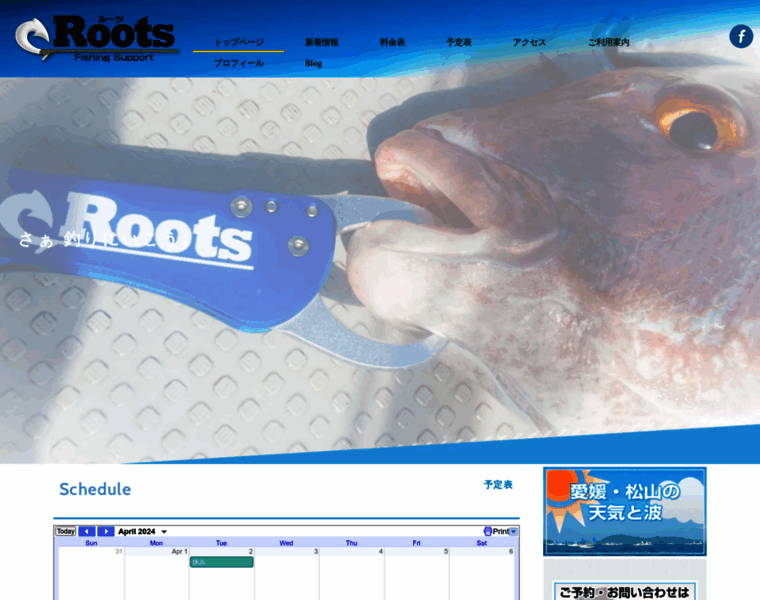 Rootsfs.com thumbnail