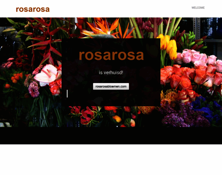 Rosarosa.nl thumbnail