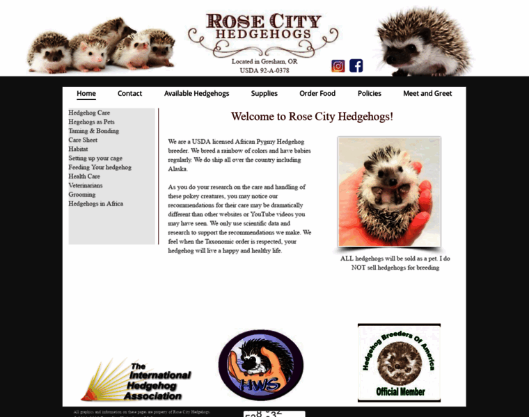 Rosecityhedgehogs.com thumbnail