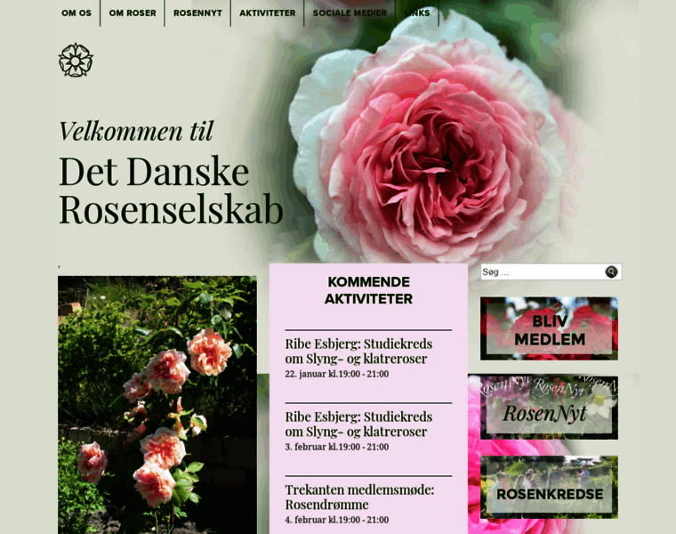 Rosenselskabet.dk thumbnail