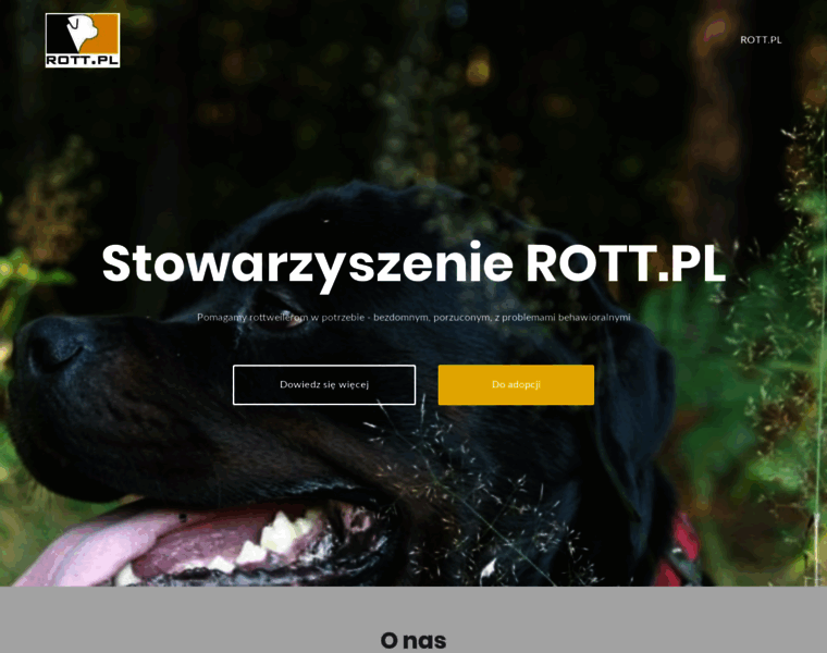 Rott.pl thumbnail