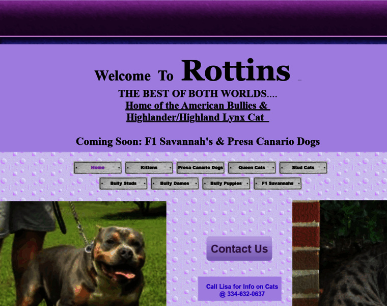 Rottins.com thumbnail