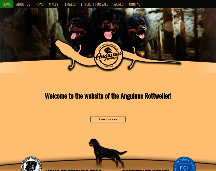 Rottweiler-anguinus.eu thumbnail