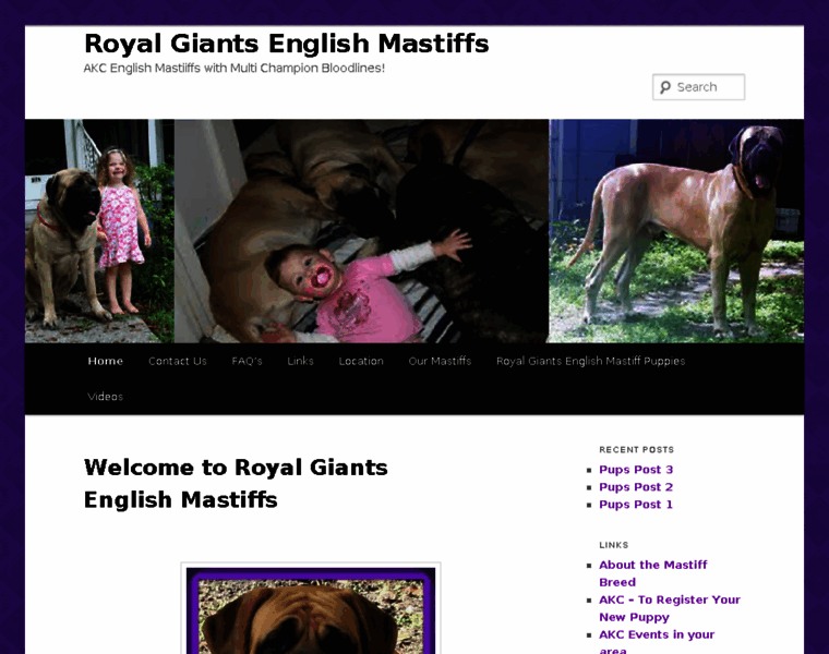 Royalgiantsenglishmastiffs.com thumbnail