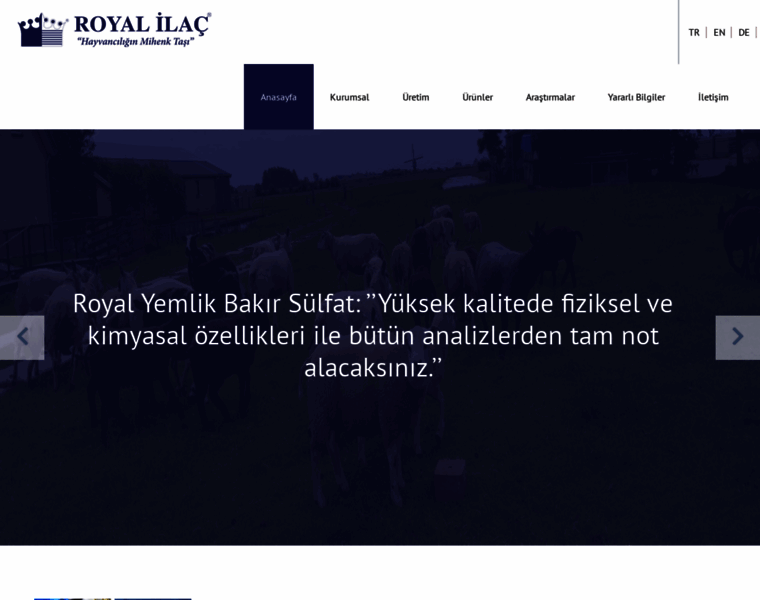 Royalmineral.com.tr thumbnail