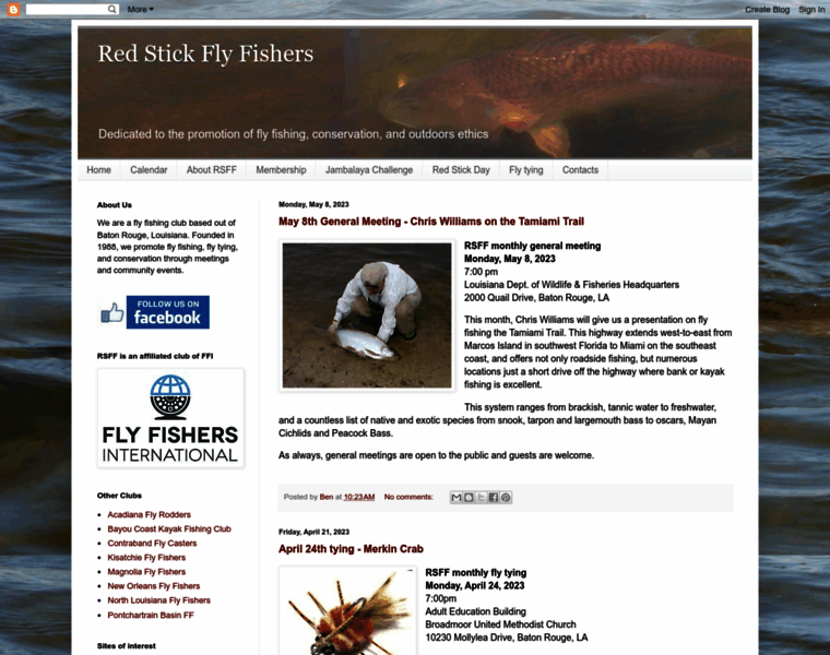 Rsff.org thumbnail