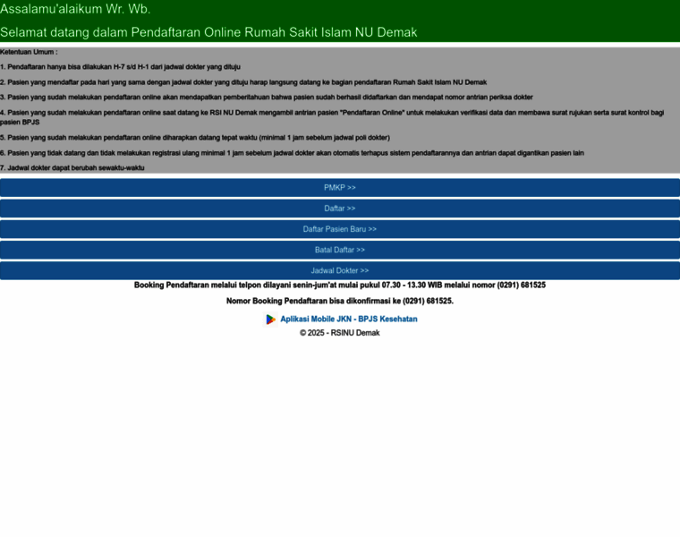 Rsinudemak.co.id thumbnail