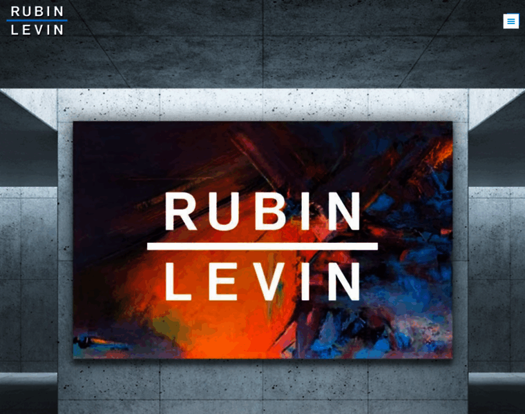 Rubin-levin.com thumbnail