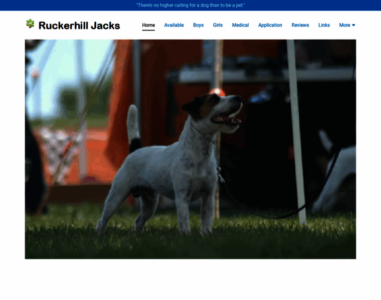 Ruckerhilljacks.com thumbnail