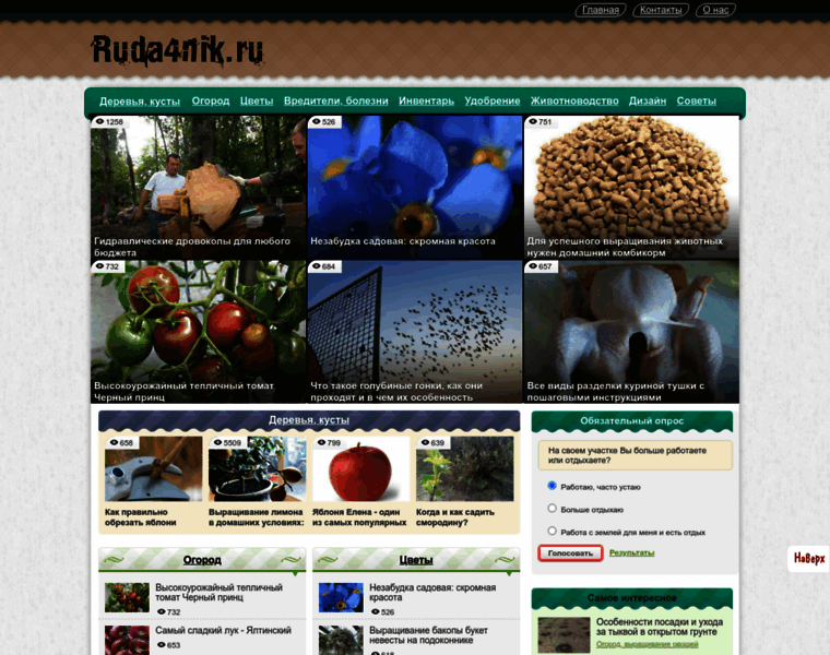 Ruda4nik.ru thumbnail