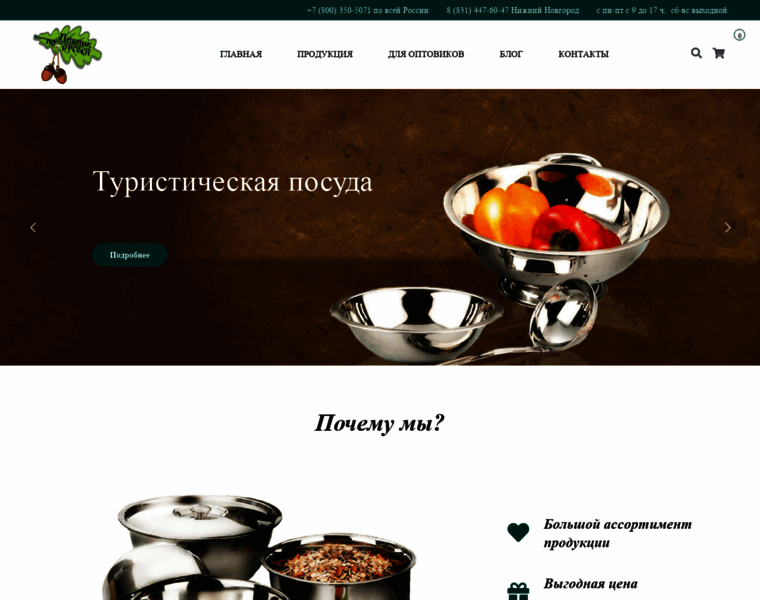 Ruspicnic.ru thumbnail