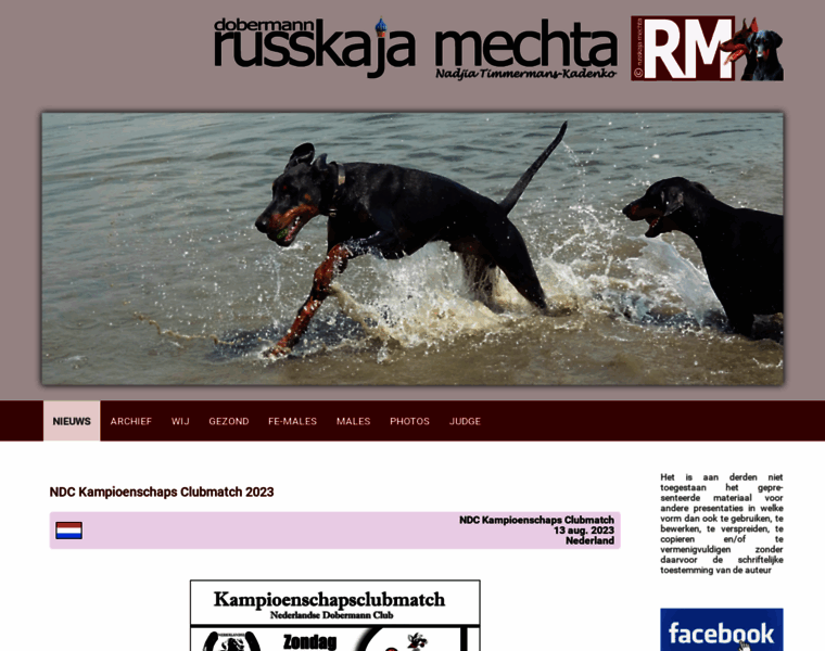 Russkajamechta.nl thumbnail