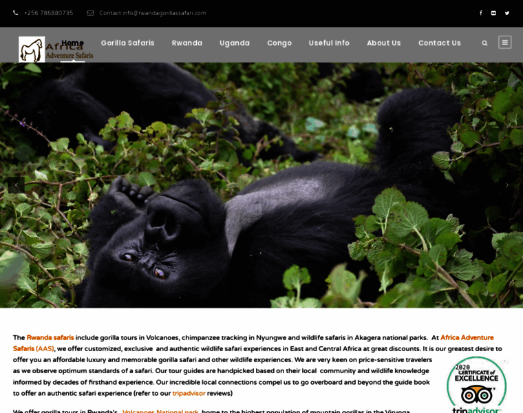 Rwandagorillassafari.com thumbnail