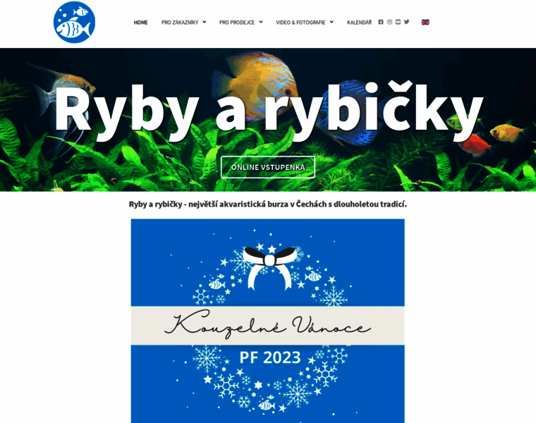 Rybyarybicky.cz thumbnail