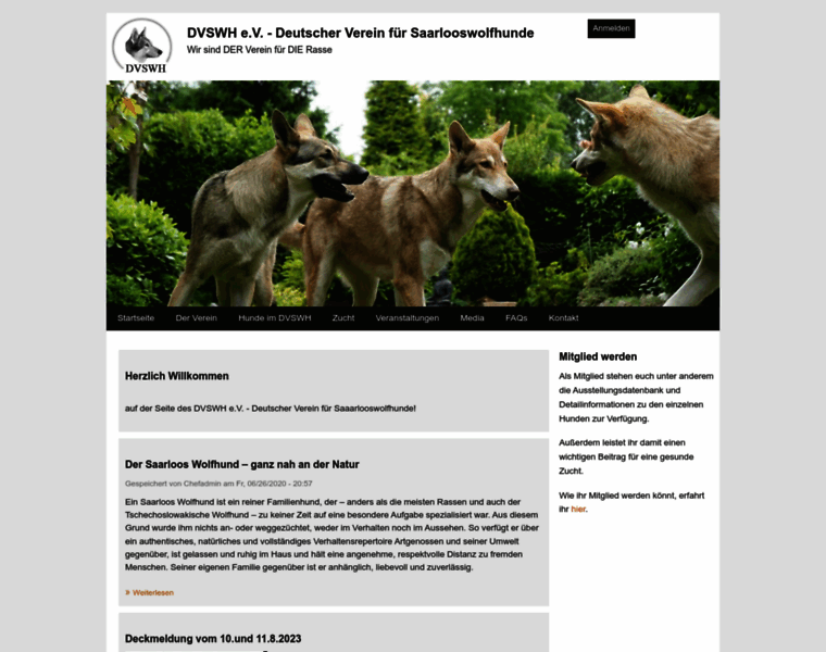 Saarlooswolfhund.org thumbnail