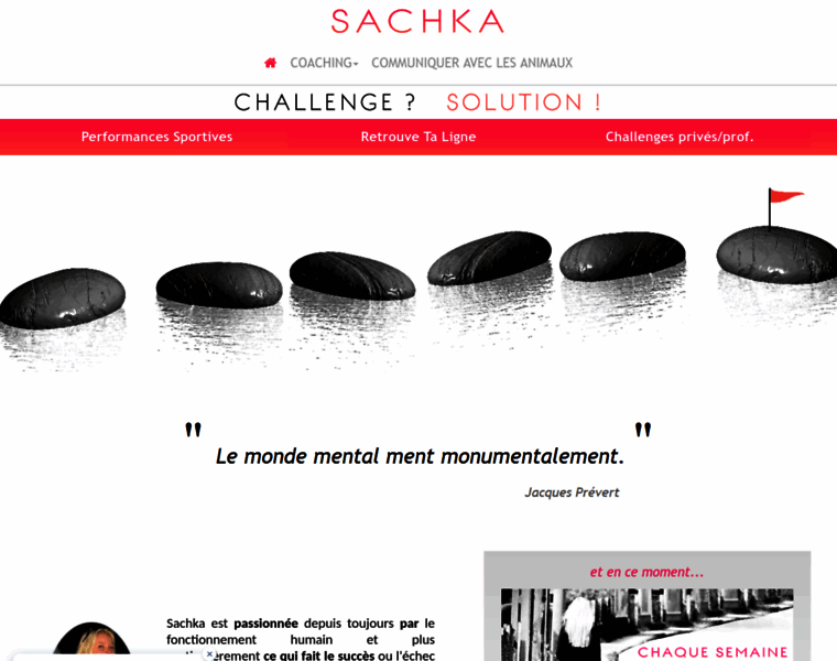 Sachka.com thumbnail