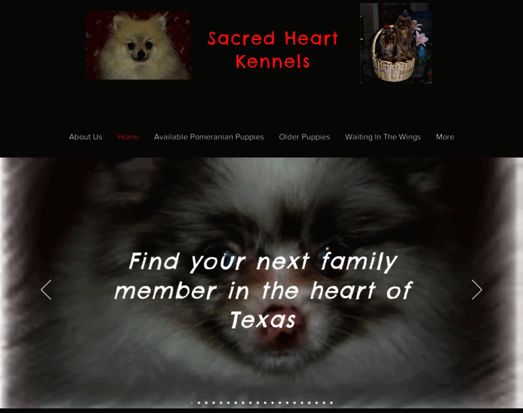 Sacredheartkennels.com thumbnail