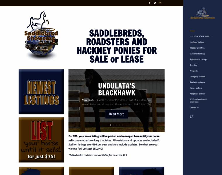 Saddlebredshowcase.net thumbnail