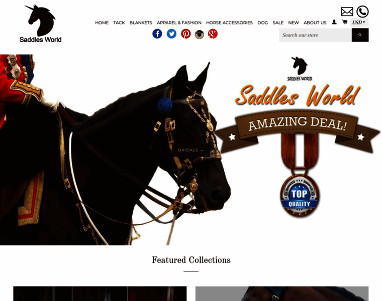 Saddlesworld.com thumbnail