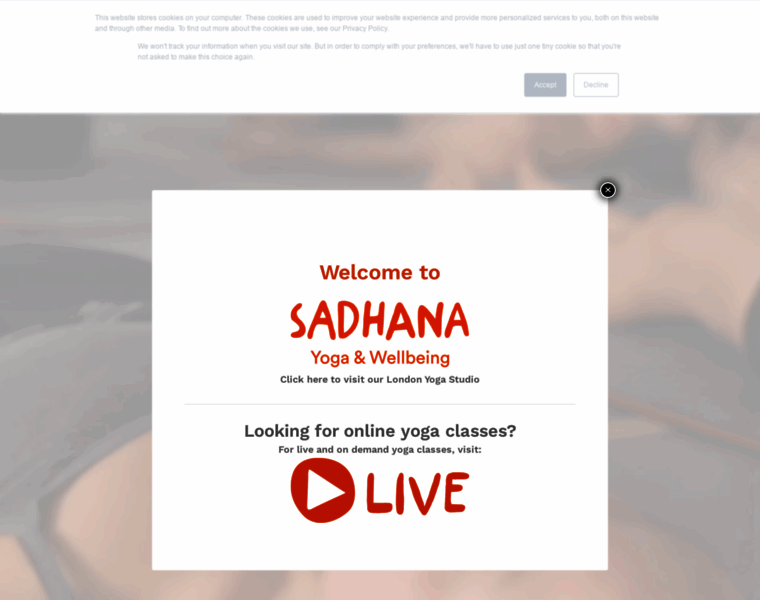 Sadhana-wellbeing.com thumbnail