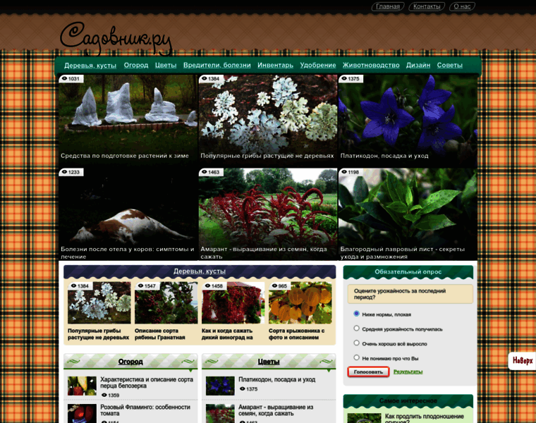 Sadounik.ru thumbnail