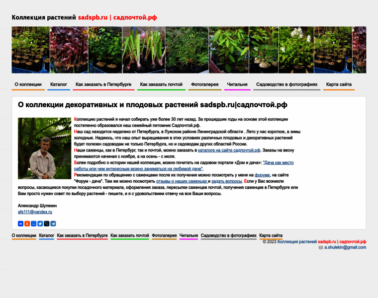 Sadspb.ru thumbnail