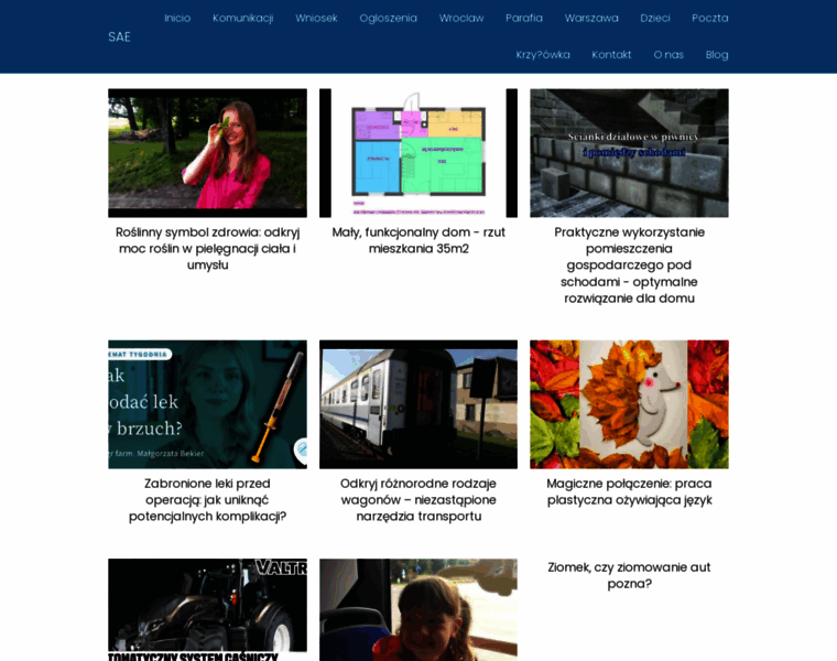 Sae.edu.pl thumbnail