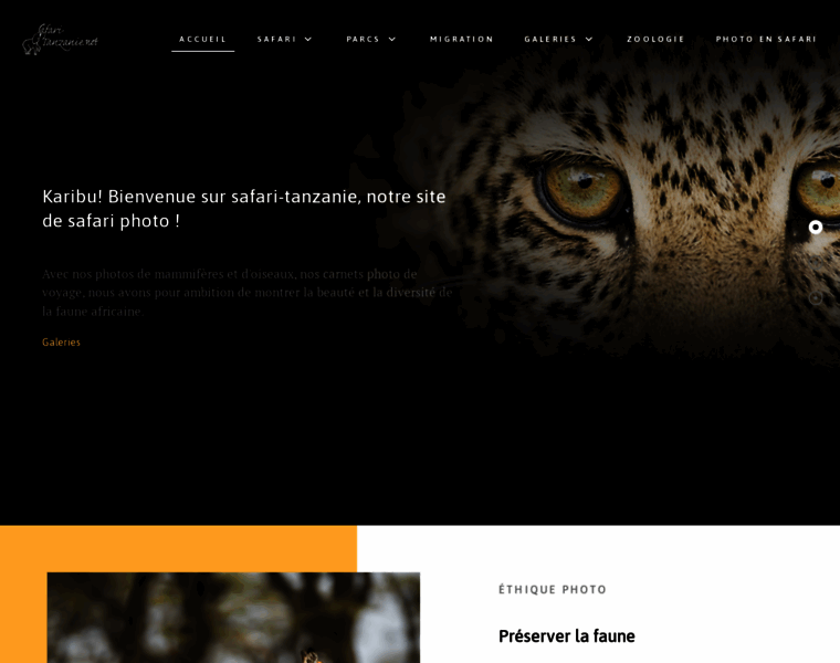 Safari-tanzanie.net thumbnail Safari-tanzanie.net thumbnail