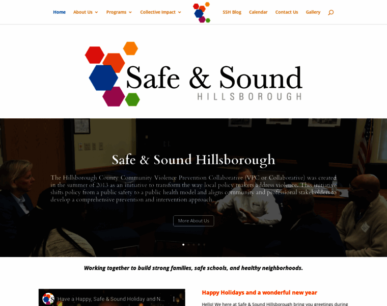 Safeandsoundhillsborough.org thumbnail