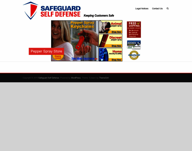 Safeguardselfdefense.com thumbnail