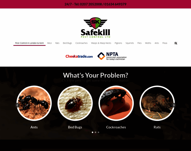 Safekillpestcontrol.co.uk thumbnail