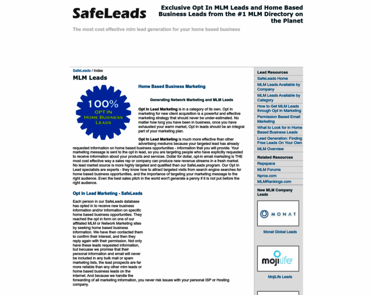 Safeleads.com thumbnail