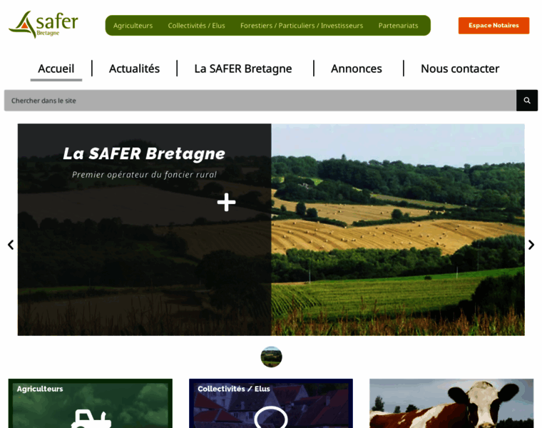 Safer-bretagne.fr thumbnail