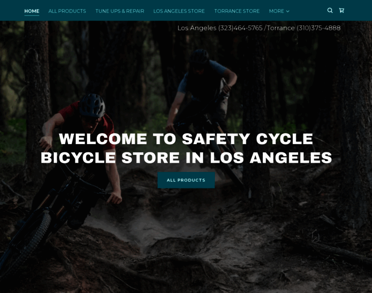 Safetycycle.com thumbnail