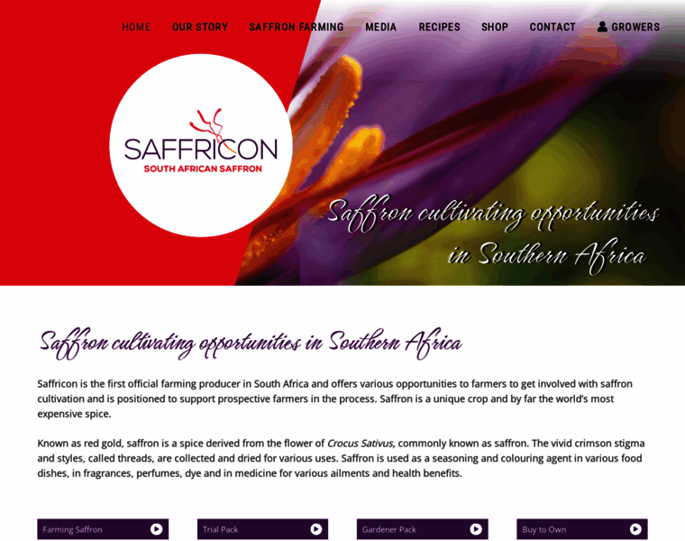 Saffricon.co.za thumbnail