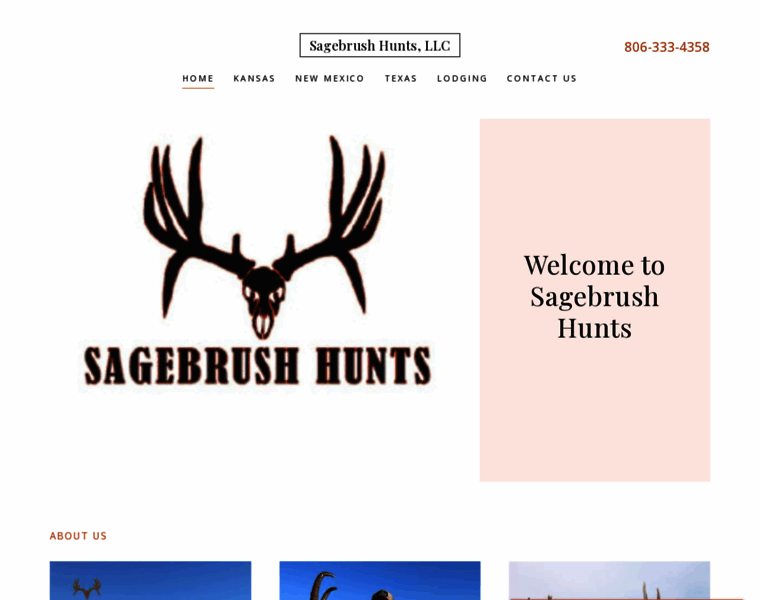 Sagebrushhunts.com thumbnail