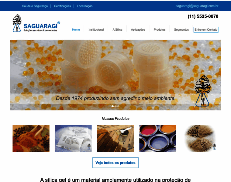 Saguaragi.com.br thumbnail