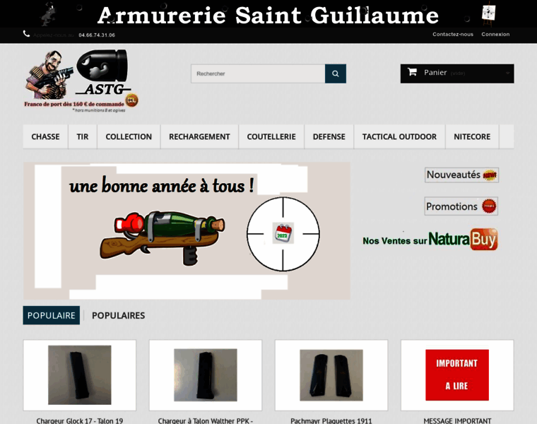 Saint-guillaume.fr thumbnail