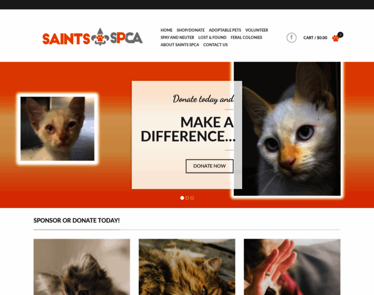 Saintsspca.org thumbnail
