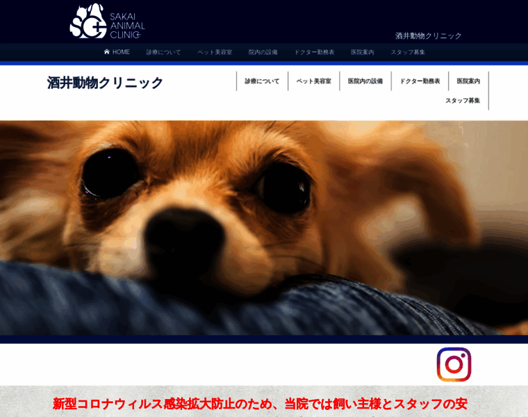 Sakai-animal-clinic.com thumbnail