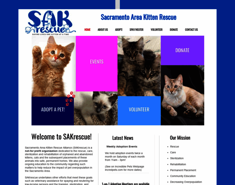Sakrescue.net thumbnail