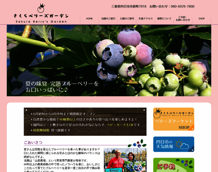 Sakura-berrys.com thumbnail
